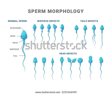 splattered 4 sperm