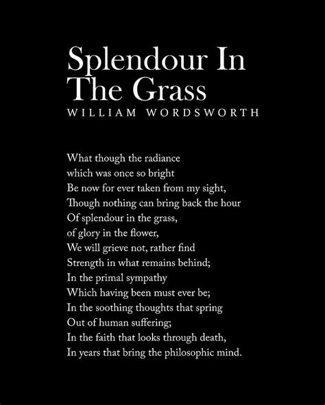 splendor in the grass by wordsworth