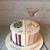 split joint birthday cake ideas for adults