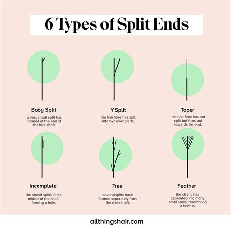 Split Ends