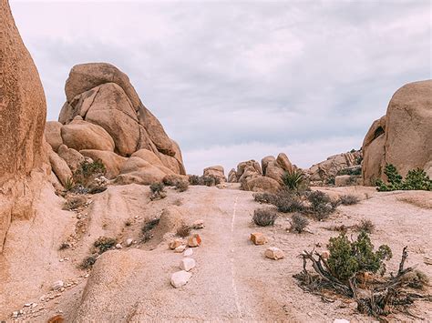 Split Rock Loop Trail Joshua Tree