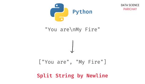 Split String With New Line Character In Python