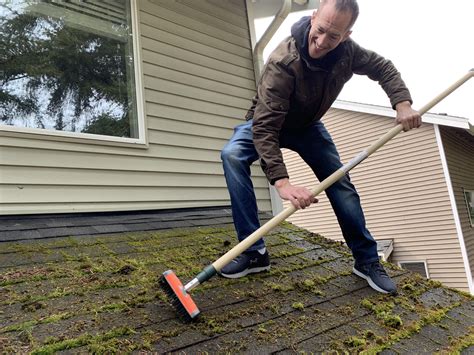spokane roof moss removal