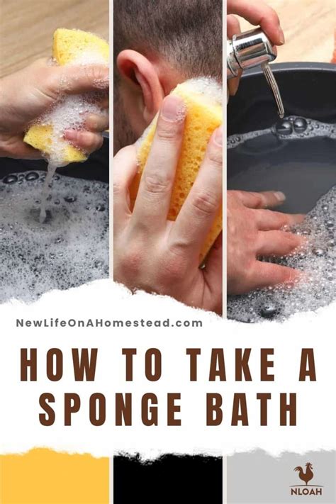Sponge Bath You