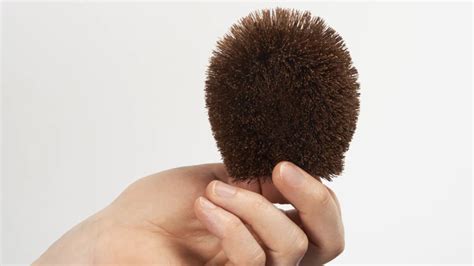 Sponge Brush Alternative