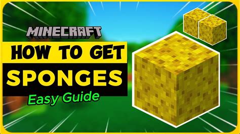 Sponge Minecraft Features