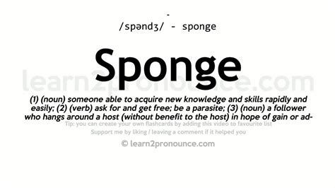 Sponge Out Definition