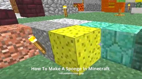 Sponge Vanilla Minecraft