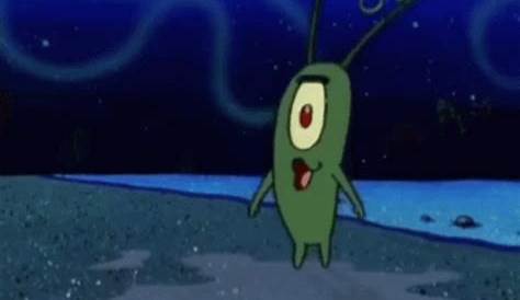 Plankton Insane GIF Plankton Insane Kinky Discover