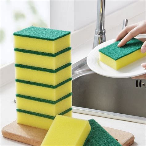 Sponges And Cleaning