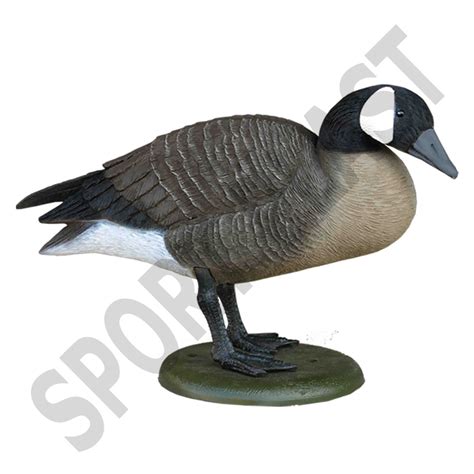 sport plast decoys for sale