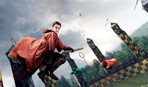 sport played by harry potter