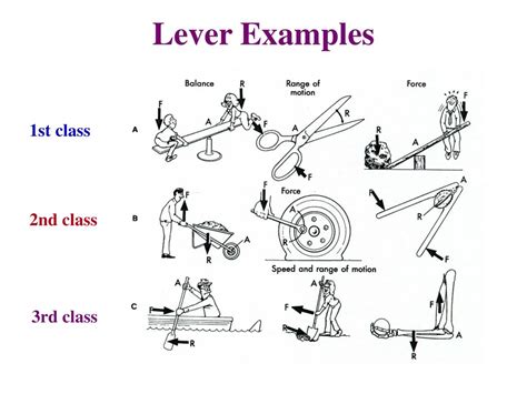 Sporting Example Lever