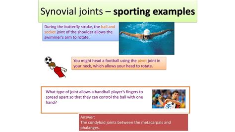 Sporting Examples Of Joint Movements