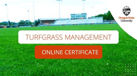 sports turf management certificate