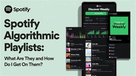 Spotify Algorithmic Playlists Meaning
