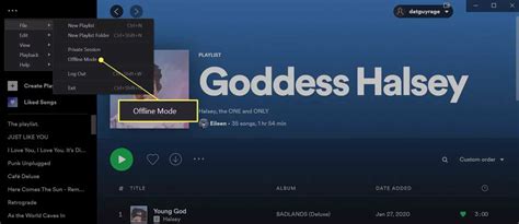 spotify offline problem pc