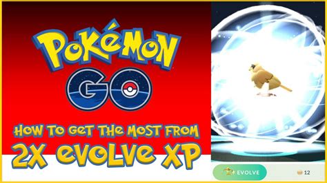 Spotlight Hour Evolve Xp