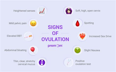 Spotting At Time Of Ovulation