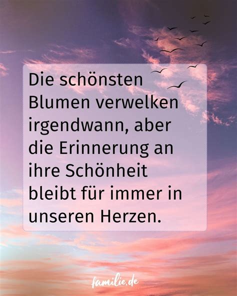 Pin auf Trauersprüche
