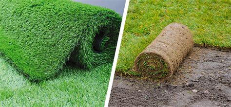 Spray Grass Vs Sod