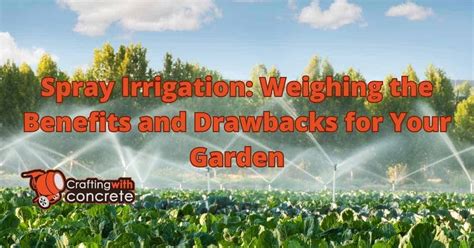Spray Irrigation Drawbacks