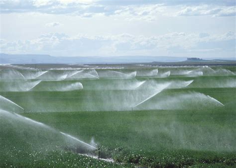 Spray Irrigation Examples