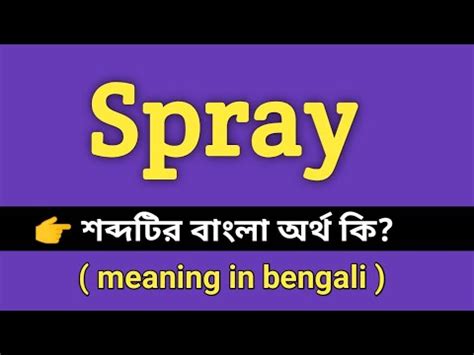 spray meaning in bengali