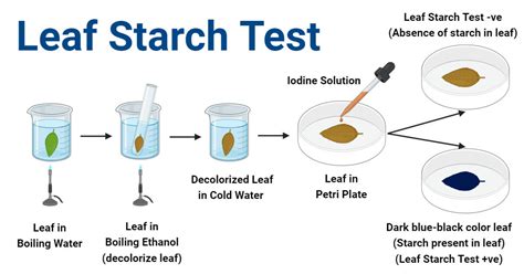 Spray Starch Leaves Spots