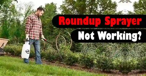 Sprayer Stopped Working