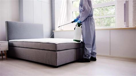 Spraying For Bed Bugs Dangerous