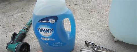 Spraying Yard With Dawn