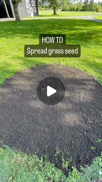 Spread Grass 3 Letters