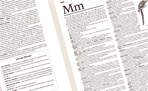 Spreads Dictionary Definition