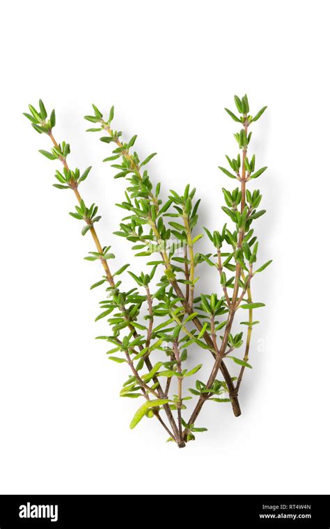 sprigs fresh thyme
