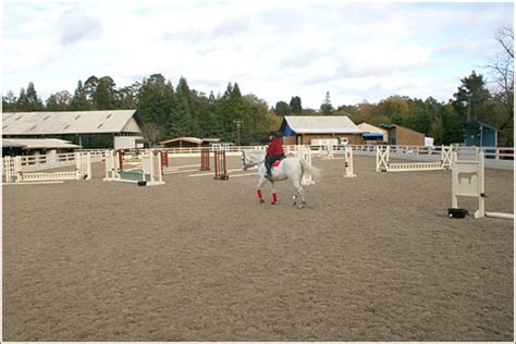 Spring Down Equestrian Center: A Premier Equestrian Facility