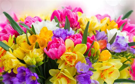 6 EasytoGrow Bulbs for Beautiful Spring Flowers