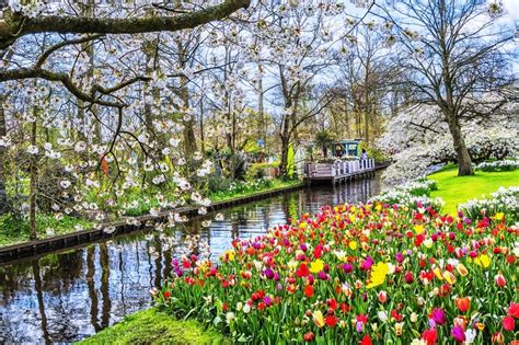Tiptoe Through the Tulips in Keukenhof Gardens in the Netherlands