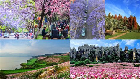 Kunming A City with Spring Like Climate All Year Round