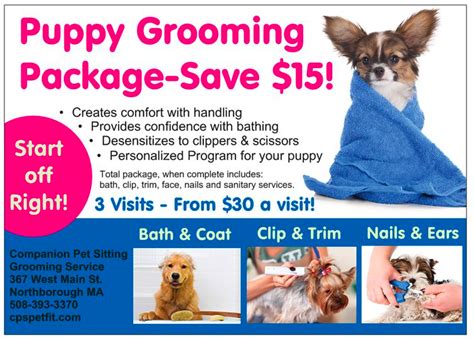 spring 2024 pet grooming packages in aurora