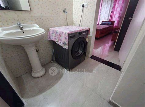 Spring Bloom Society