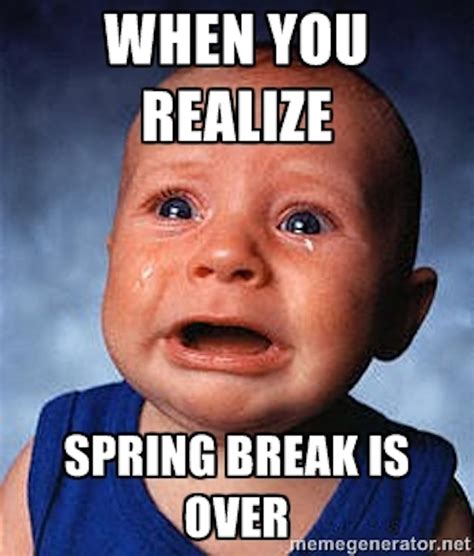 spring break meme