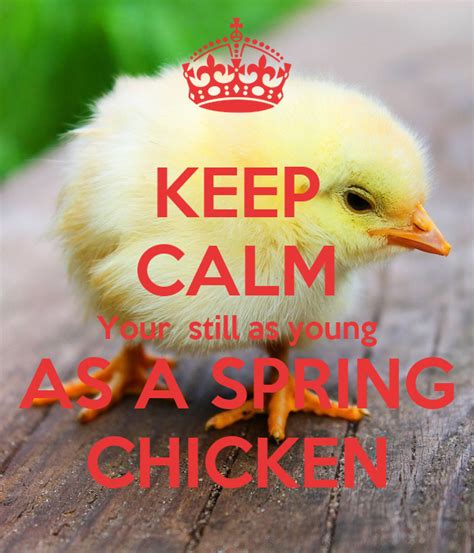 spring chicken meaning