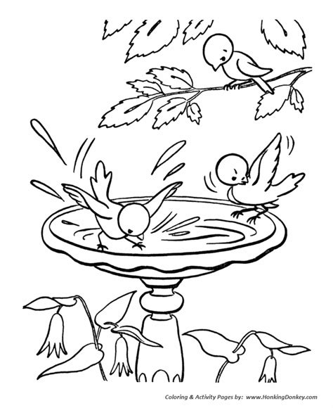 Spring Coloring Pages Birds