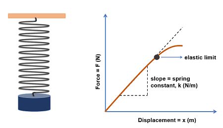Spring Constant Of The Spring In The Figure Shown Is 100N/M