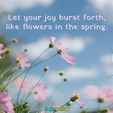 Spring Flowers Caption