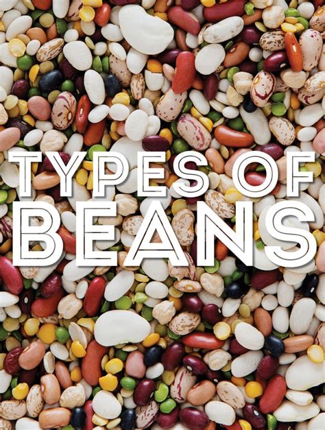 Spring Get List Of Beans Of Type