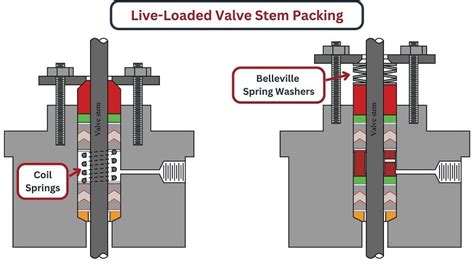Spring Loaded Valve Packing