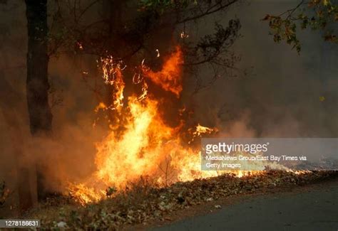 Spring Mountain Road Fire