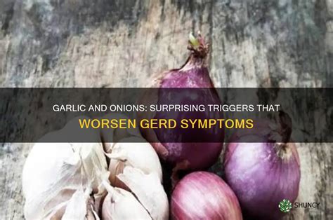 Spring Onions Gerd